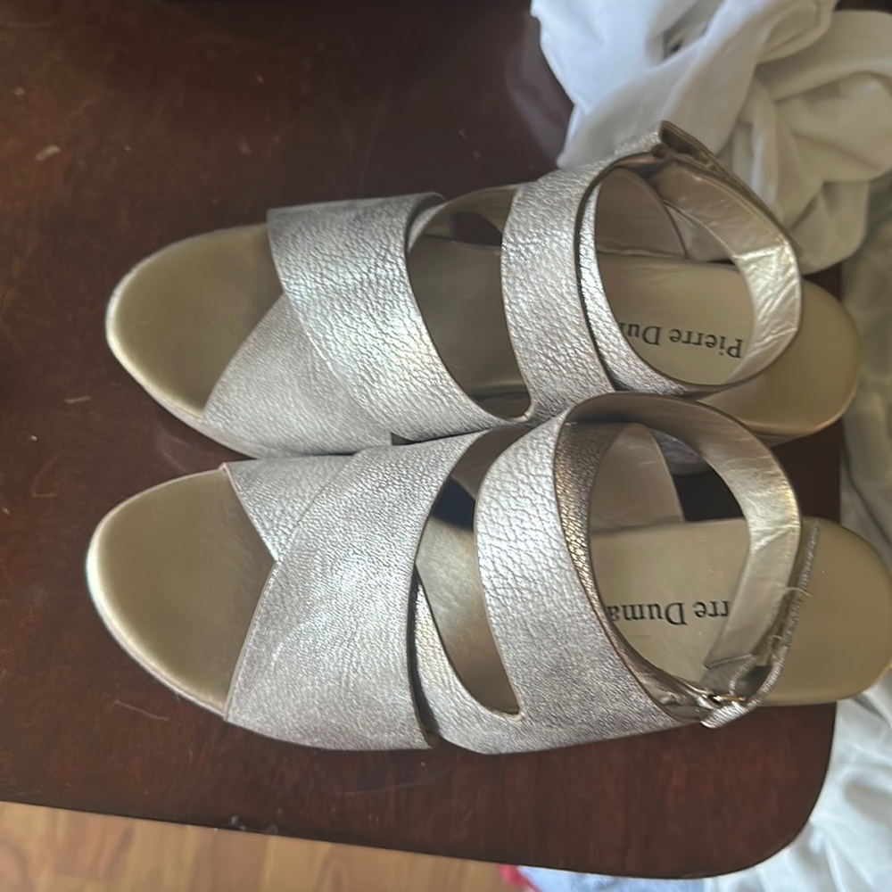 Pierre Dumas wedges